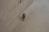 PICT0202.jpg