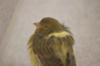 PICT0204.jpg