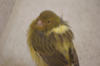 PICT0205.jpg
