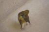 PICT0206.jpg