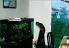 03-01-aquarium-3.jpg