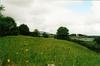 Dungaire