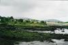 Dungaire
