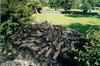 irlande-1-13.jpg