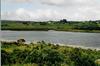 irlande-1-18.jpg
