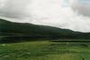Connemara