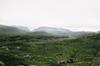 irlande-4-06.jpg