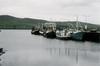 irlande-4-14.jpg