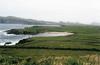 irlande-4-21.jpg